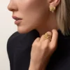 Faune Et Flore De Cartier örhängen, gula, orange och bruna diamanter, pavé Faune Et Flore De Cartier örhängen, gula, orange och bruna diamanter, pavé
