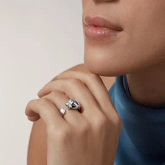 Panthere De Cartier-ring – vitguld, tsavoritgranater, onyx – Cartier