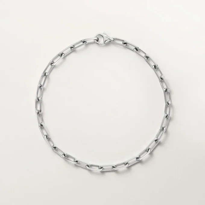 Santos De Cartier-armband, kedja, liten modell Santos De Cartier-armband, kedja, liten modell