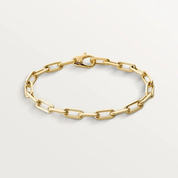 Santos De Cartier-armband, kedja, medelstor modell Santos De Cartier-armband, kedja, medelstor modell