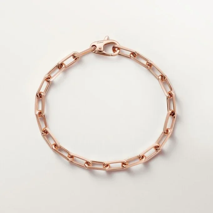 Santos De Cartier-armband, kedja, medelstor modell Santos De Cartier-armband, kedja, medelstor modell